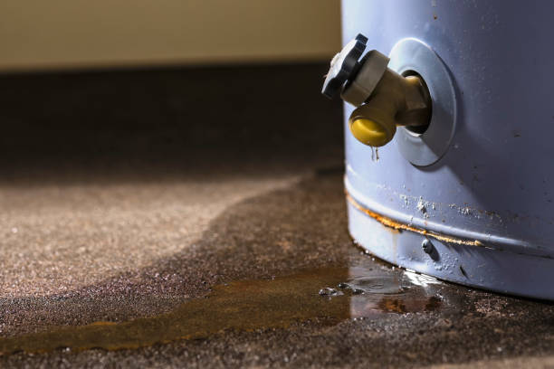 Best Water damage restoration near me  in Justice, OK