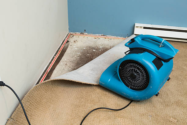 Best 24-hour water damage restoration  in Justice, OK